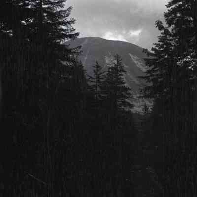 Negative, Sheet Film