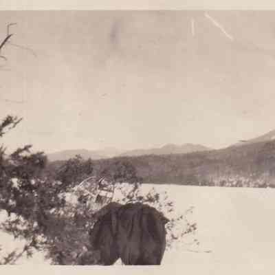 Across Moose Pond