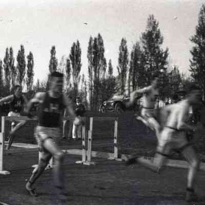 Negative, Sheet Film
