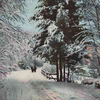 Adirondack Mts., Bloomingdale Road in Winter