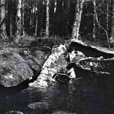 Negative, Sheet Film