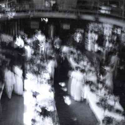 Negative, Sheet Film