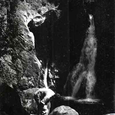 Negative, Sheet Film