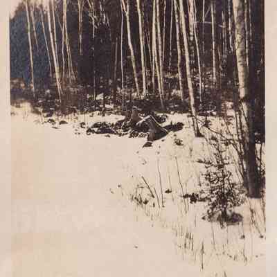 Photograph, Black-and-White