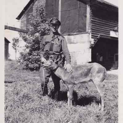 Ralph Milne - Tame Deer He Picked up in August