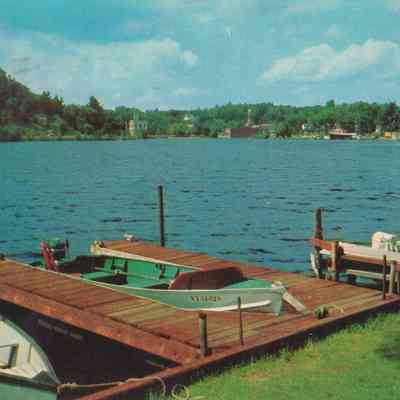 Lake Flower