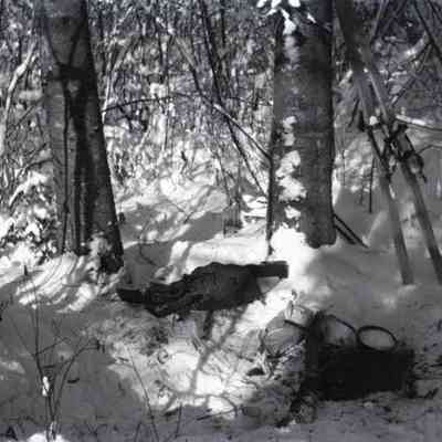 Negative, Sheet Film