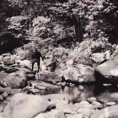 A pool along John's Brook on Trail to Mt. Marcy.