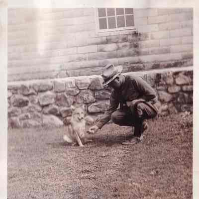 Wolf pup caught in town of Belmonth, Franklin County during summer 1934 when about 6 week old.