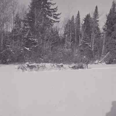 Photograph, Black-and-White
