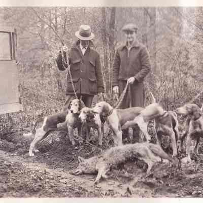 Female wolf killed April 9, 1936 by Fred Streever, Ballston Spa.