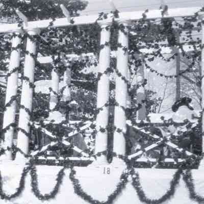 Negative, Sheet Film