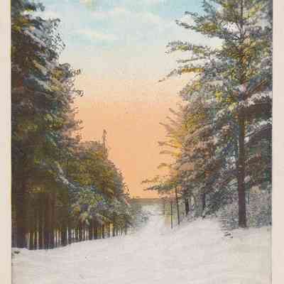 Winter Scene, State Road, Ray Brook, Adirondacks, N. Y.