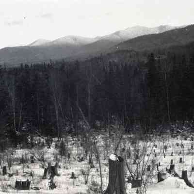 Negative, Sheet Film