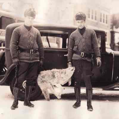 Wolf caught by Protectors Feb 11, 1934.