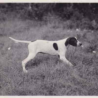 Photograph, Black-and-White