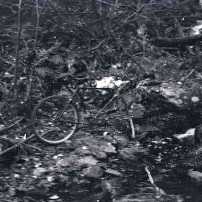 Negative, Sheet Film