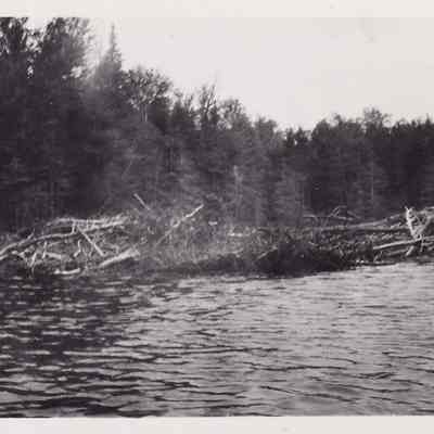 Beaver Dam Between Mud Pond & Ragged Lake