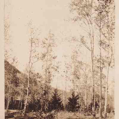 Photograph, Black-and-White
