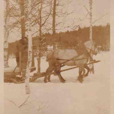 Photograph, Black-and-White