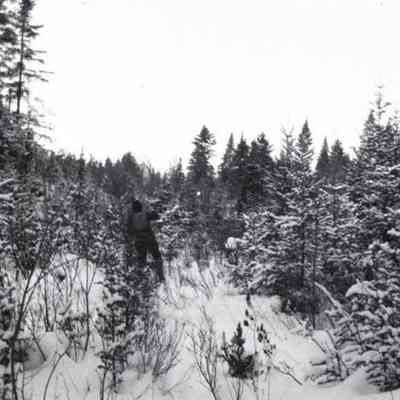 Negative, Sheet Film