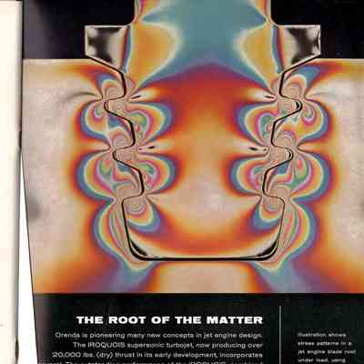 The Root of the Matter