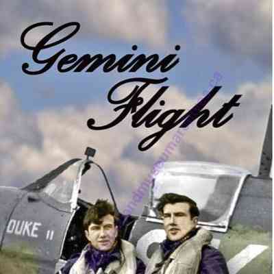 Gemini Flight