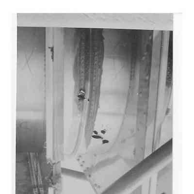 201 landing gear failure - accident Damage - image 26