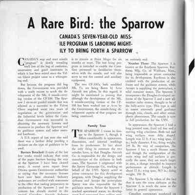 A rare bird: the Sparrow