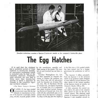 The egg hatches