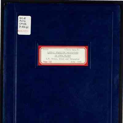 C-105 Elastic lateral stability derivatives in level flight: L.E. droop, notch and extension