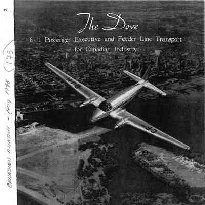 The Dove