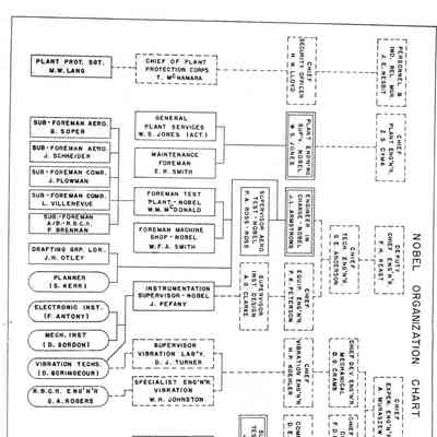 Nobel Organization Chart