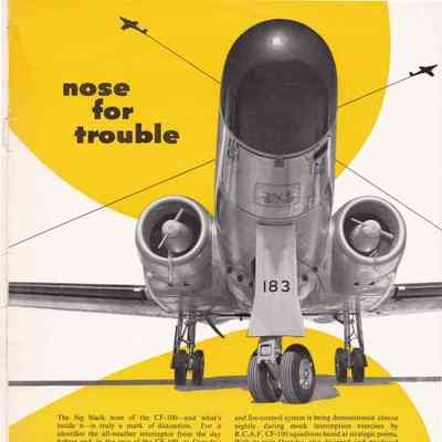 Nose for trouble