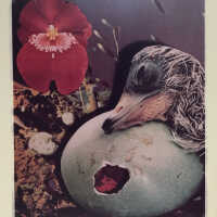          Untitled picture number 1
   