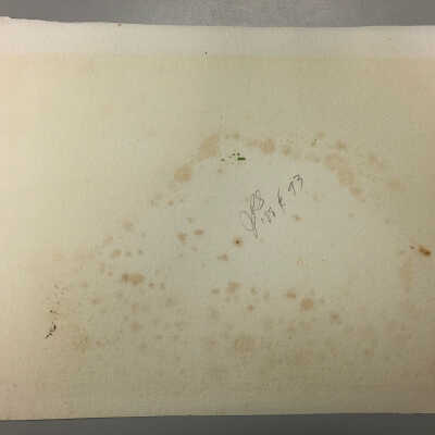 Verso paper