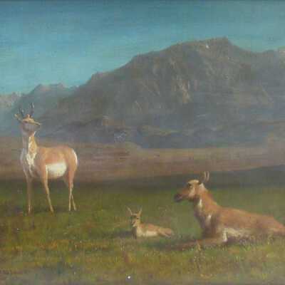 Landscape with Deer