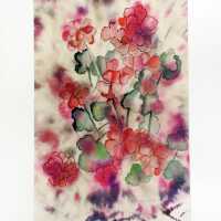          Geraniums picture number 2
   