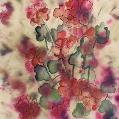 Geraniums