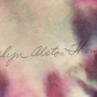          Geraniums picture number 3
   