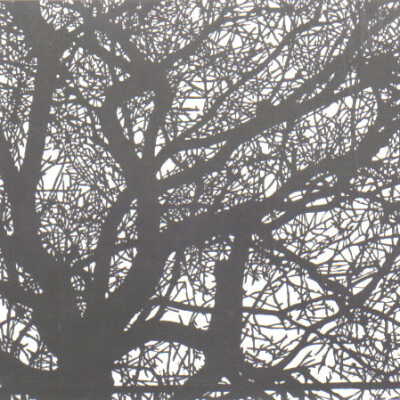 Tree and Railing