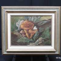          Gypsy Moth picture number 2
   