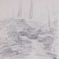 Untitled (Study of Trees)