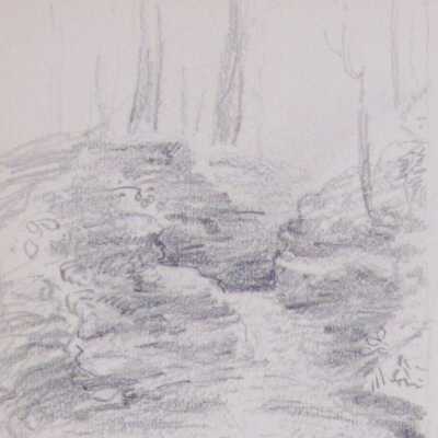 Untitled (Study of Trees)