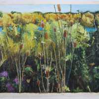          Summit Lake picture number 2
   