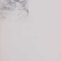          Untitled (Study of Trees) picture number 2
   