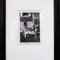          When the Chickens Come Home to Roost picture number 2
   