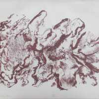 In the Capitan Mountains