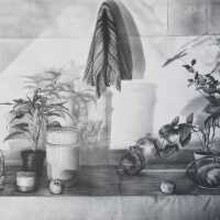          Black Pot/White Pot picture number 1
   