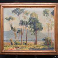          Spring in Albany Knob picture number 4
   